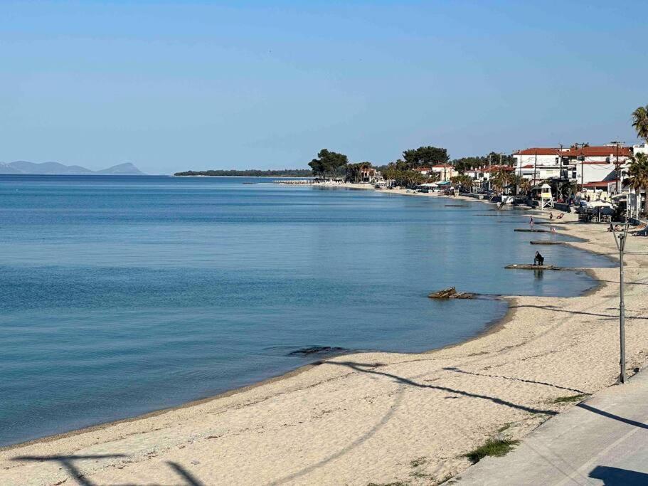 Anemomylos By The Sea Pefkochori Bagian luar foto