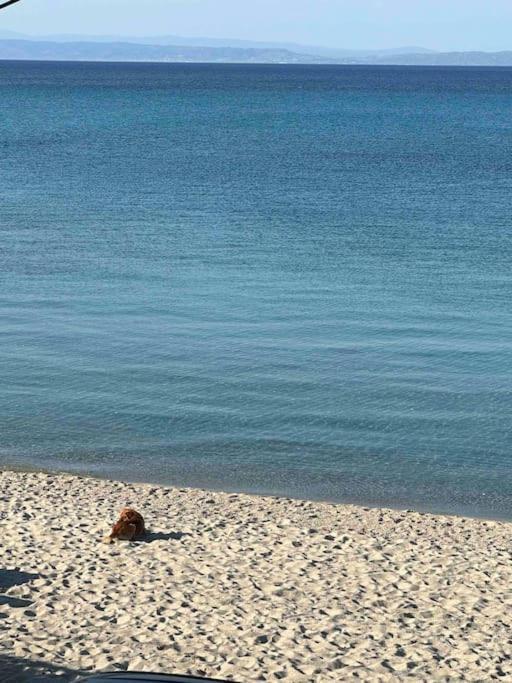 Anemomylos By The Sea Pefkochori Bagian luar foto